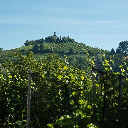 Gaestehaus Grasch Kitzeck im Sausal Eksteriør billede