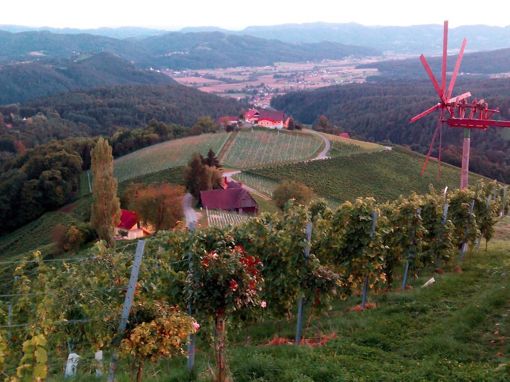 Gaestehaus Grasch Kitzeck im Sausal Værelse billede